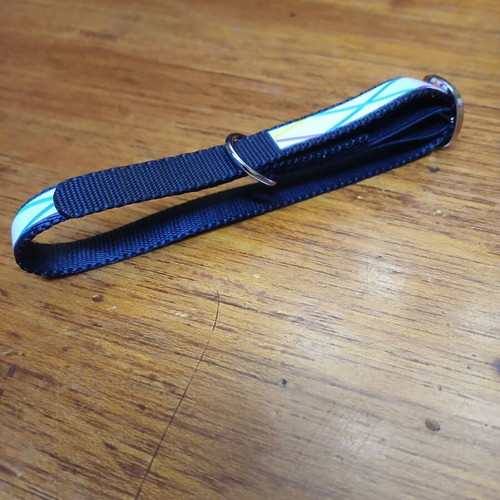 Cat collar new with adjustable design