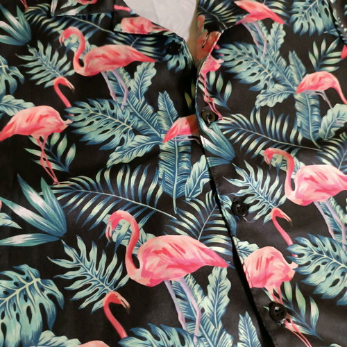 Set of Bermuda shorts and flamingo shirt 8-9 years like new