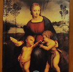 Art Book Raffaello new