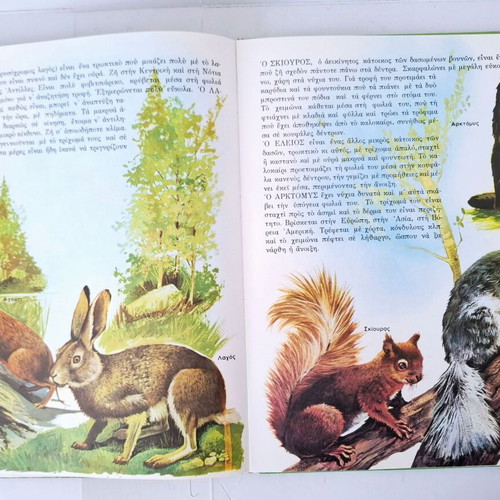 Encyclopedia of Animals 1966 used, Greek