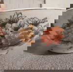  Φρουτιερα