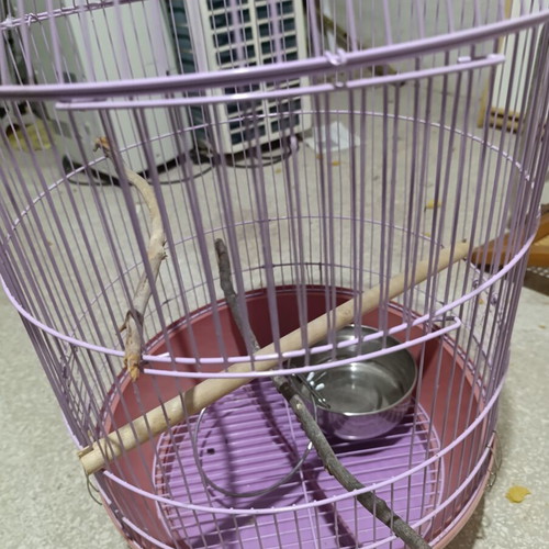 Metal Birdcage in Purple Like New