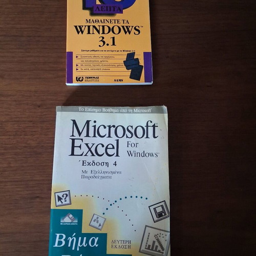 Computer books used, Windows 3.1 and Microsoft Excel 4 guides