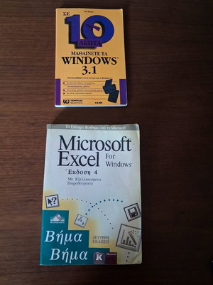 Computer books used, Windows 3.1 and Microsoft Excel 4 guides