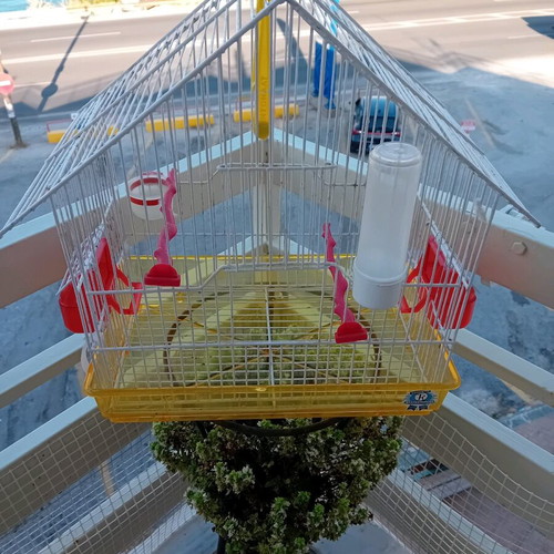 Bird Cage like new