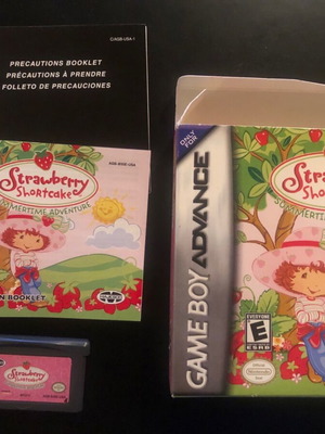 Game Boy Advance Strawberry Shortcake used
