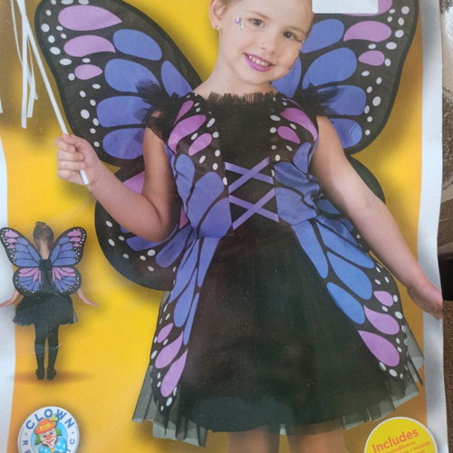 Purple butterfly costume used for ages 5-7