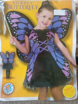 Purple butterfly costume used for ages 5-7
