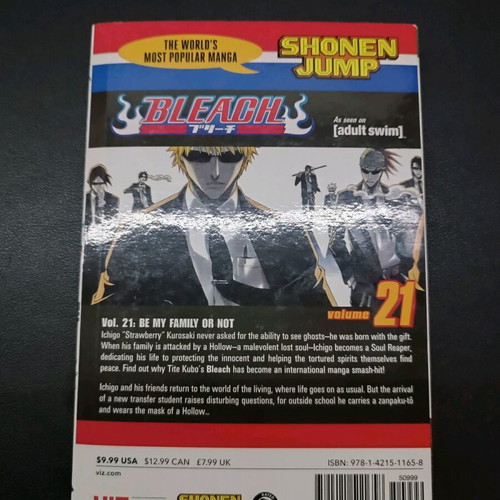 Bleach Manga Volume 21 Like New