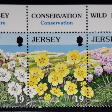 Jersey Unused Wild Flowers Stamp Series New