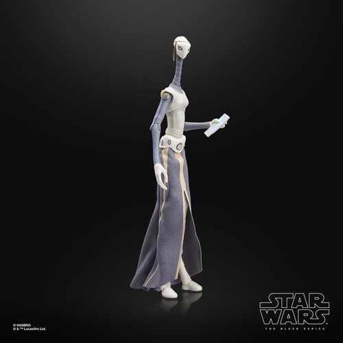Star Wars Taun We 6" Black Series action figure new