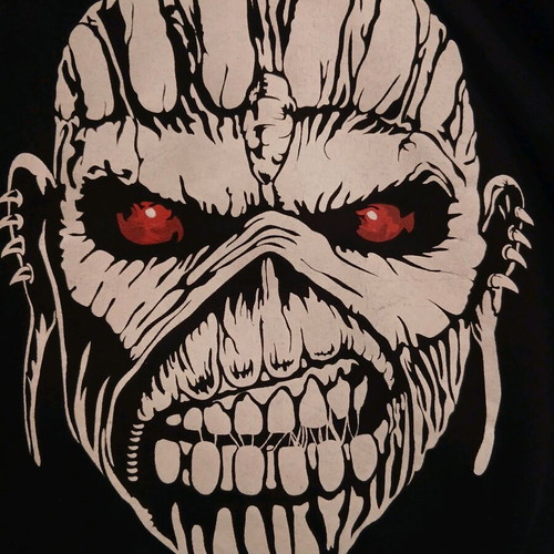 Iron Maiden Book Of Souls Fruit of the Loom hoodie like new, size M