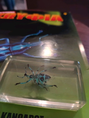 Real Bugs Issue 9 used