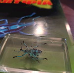Real Bugs Issue 9 used