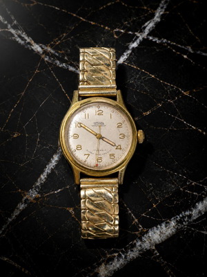 Technor 17 Jewels Limited Edition gold-plated mechanical women's watch