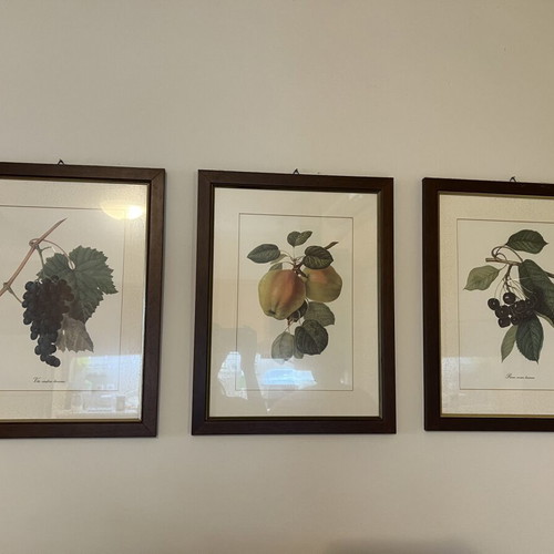 Wooden frames used, set of 3