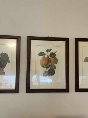Wooden frames used, set of 3