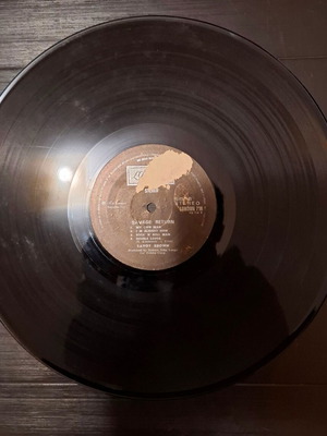 Savoy Brown Savage Return LP μεταχειρισμένο, rock