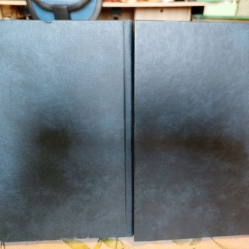 Great Expectations 2 volumes like new, Charles Dickens, leather-bound edition