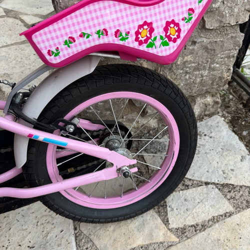 Orient Terry 14-inch children's city bike
