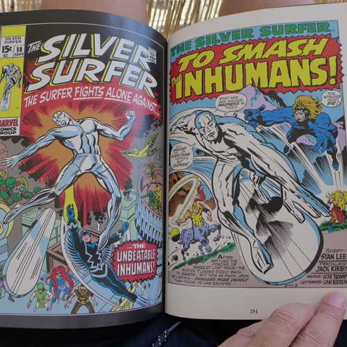 The Silver Surfer (Marvel Masterworks, Volume 15 & 19) Paperback (2010) Limited to 863 & 800 copies