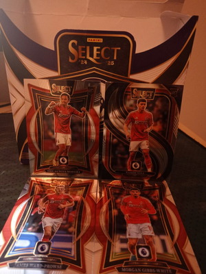 Nottingham Forest stickers like new