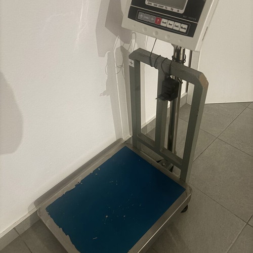 Vector professional scale