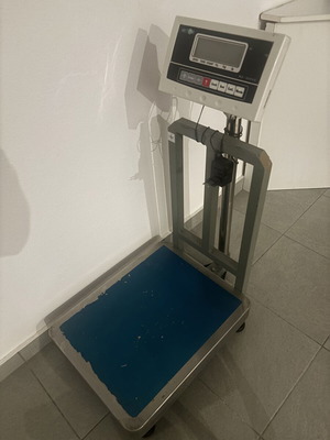 Vector professional scale