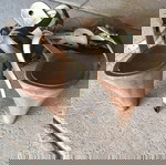  Ξύλινα τσόκαρα Replay με τακούνι - Νο40