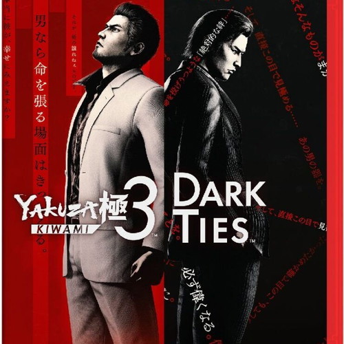 Yakuza Kiwami 3 & Dark Ties Game Key-Card Nintendo Switch 2 new