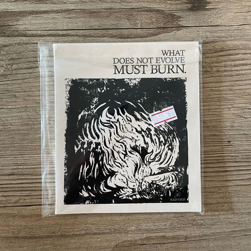 Bad Trip What Does Not Evolve Must Burn CD EP used, 2010