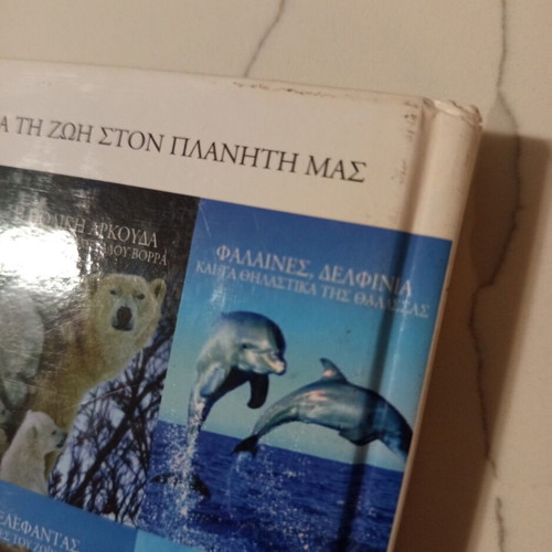 The Encyclopedia of Animals Volume 6 used, whales dolphins and sea mammals