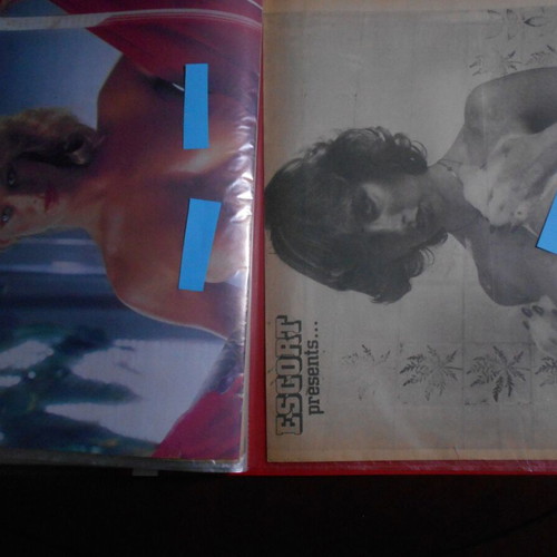 Nude posters used, 22 from 1970-80 magazines, size A4