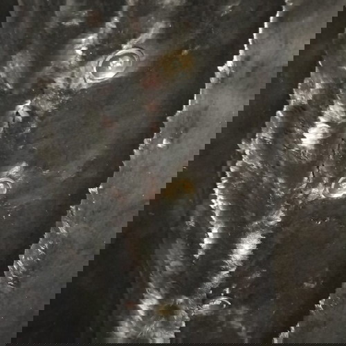 Αφορετη γούνα medium μαύρη με κοντό πέλος και στρογγυλό γιακά καινούργια