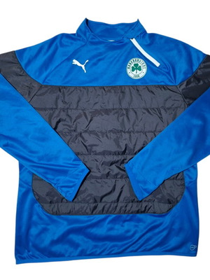 Panathinaikos PAO 2016-17 Puma football training shirt used