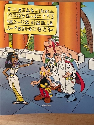 Asterix binder used from France