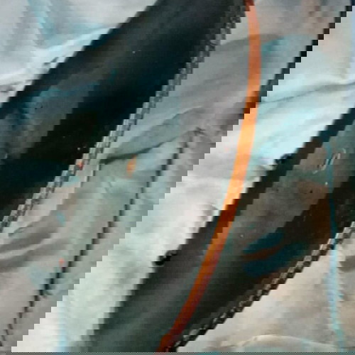 Edison Diamond Disc 80520 used collectible classical phonograph record