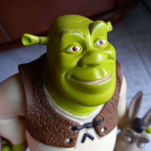 Shrek shampoo container used