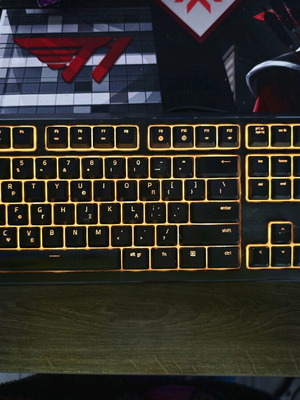 Razer Ornata Chroma used with wear on WASD and Shift keys
