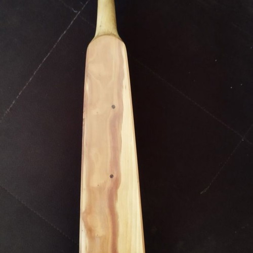 Pontic lyra new from damask wood with bow