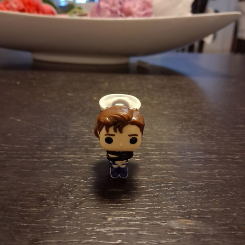 Mini Funko Pop Stranger Things Stiv and Robien new