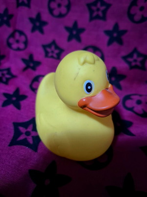 Bebe bath toy duck used