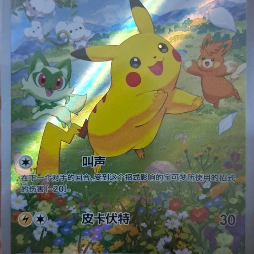 Pokemon Pikachu card new