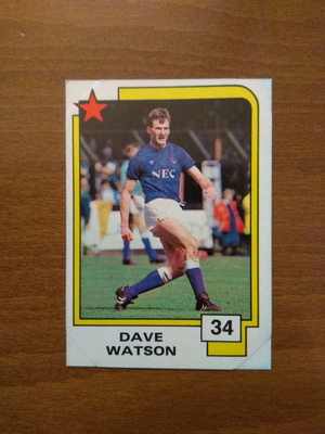 Κάρτα Panini Soccer Superstars 1988 Νο34 Dave Watson μεταχειρισμένη