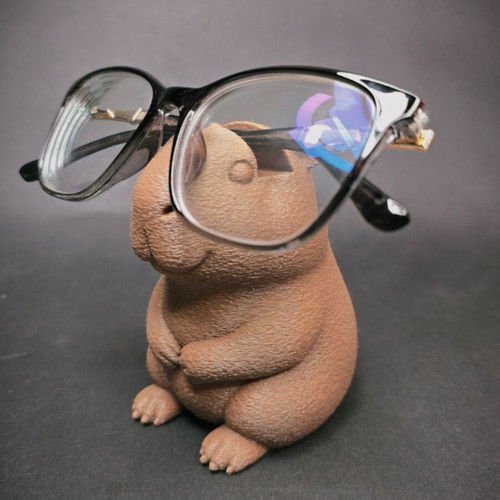 3D Printed Glasses Stand