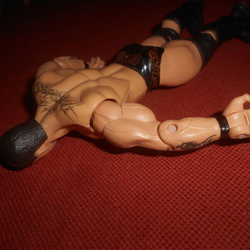 WWE Wrestling Randy Orton Action Figure 2003 used