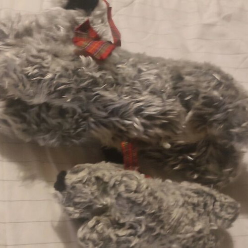 Stuffed dog mom and baby used with Scottish ribbon