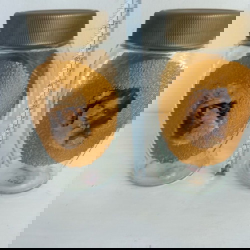 Δύο βάζα διακοσμημένα με το χέρι