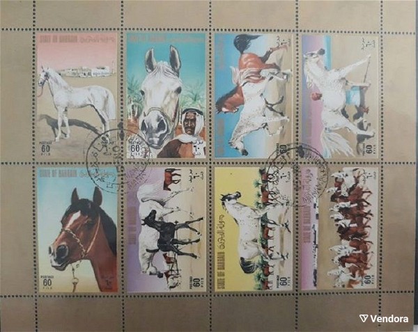 BAHRAIN HORSES