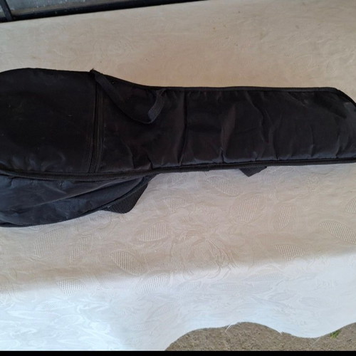 Violin case rectangular and mandolin gig bag used